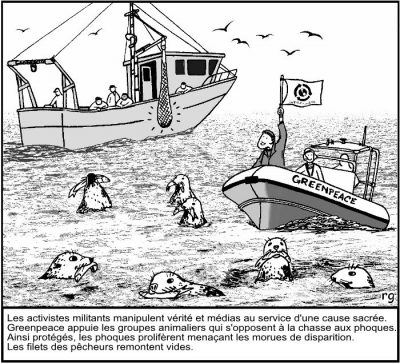 Un bateau de pêche relève un filet vide, pendant qu’un pneumatique de Greenpeace protège des phoques qui dévorent des morues. Les activistes militants manipulent vérité et médias au service d’une cause sacrée. Greenpeace appuie les groupes animaliers qui s’opposent à la chasse aux phoques. Ainsi protégés, les phoques prolifèrent menaçant les morues de disparition. Les filets des pêcheurs remontent vides.