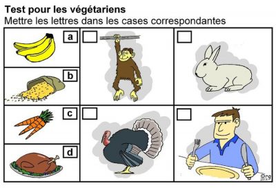 Test pour les végétariens : mettre les lettres dans les cases correspondantes. D’un côté des bananes (a), des graines (b), des carottes (c) et une dinde rôtie (d) ; de l’autre, un singe, un lapin, un dindon et un homme à table.
