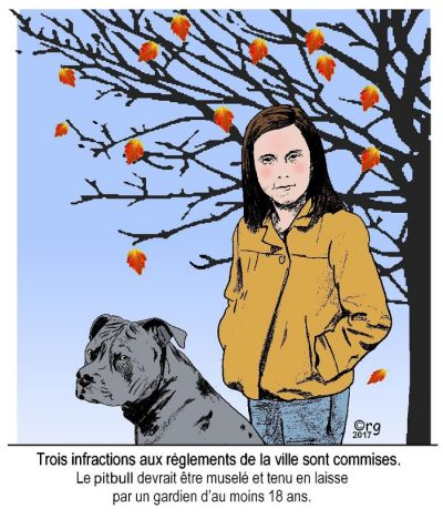 Une adolescente se tient sous un arbre d’automne à côté d’un pitbull, sans laisse ni muselière. Trois infractions aux règlements de la ville sont commises. Le pitbull devrait être muselé et tenu en laisse par un gardien d’au moins 18 ans.